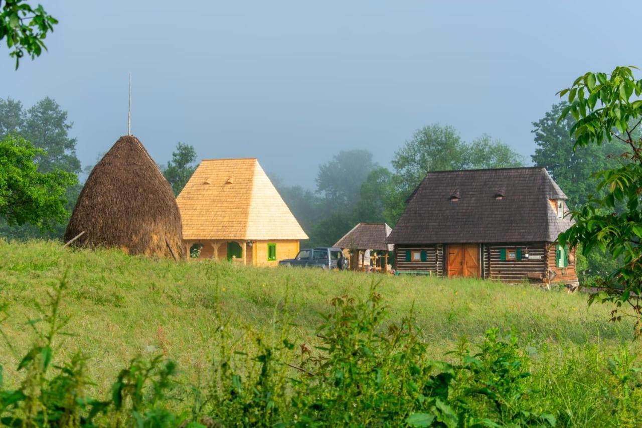 Séjour à la campagne Complex Traditional Casa Din Vale