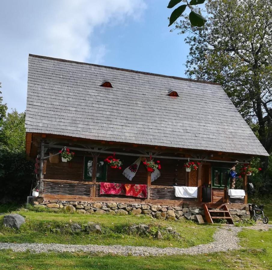 Séjour à la campagne Complex Traditional Casa Din Vale Breb