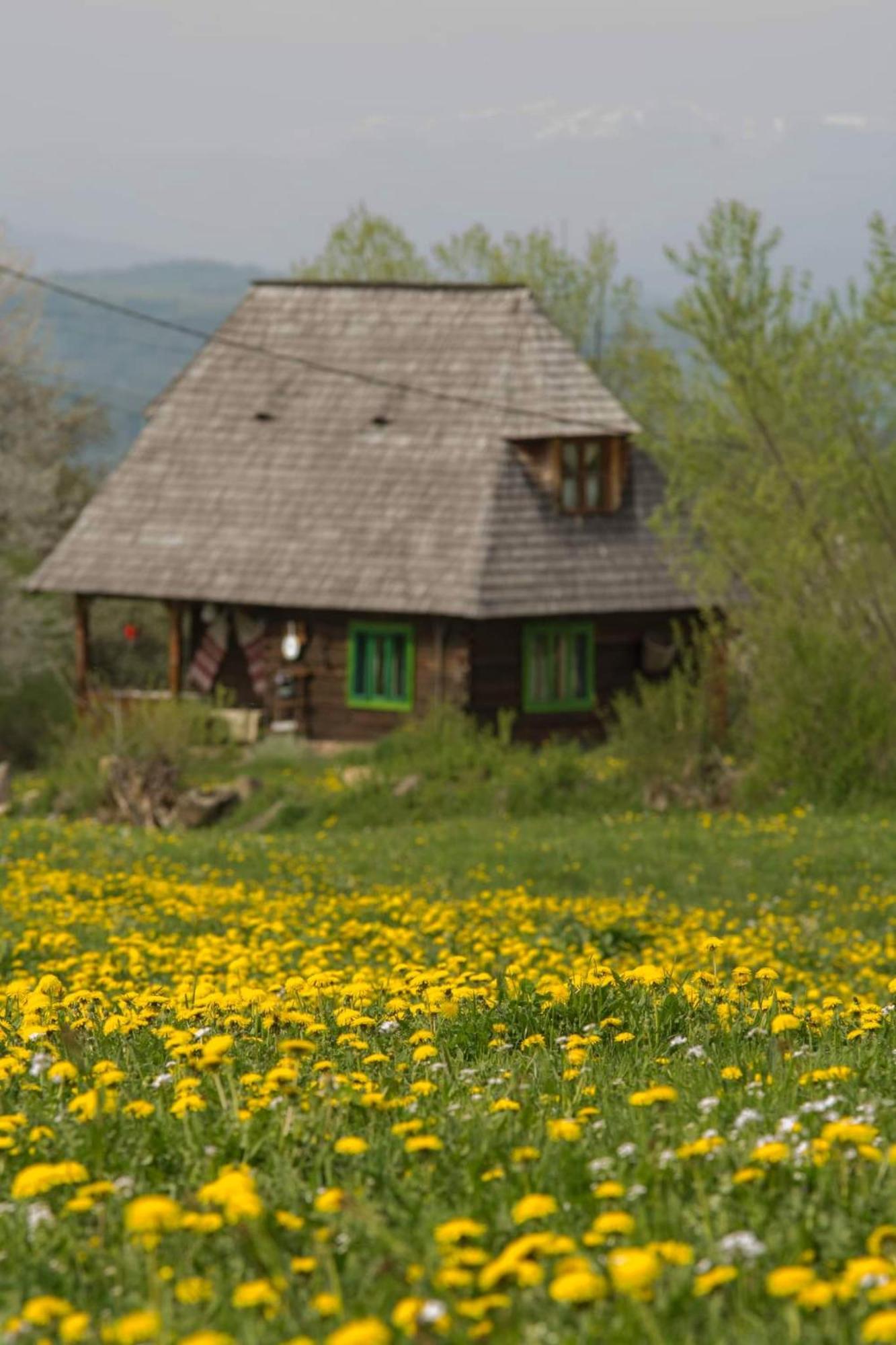Complex Traditional Casa Din Vale